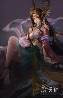 网4